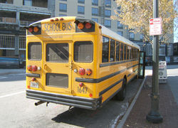 Normal_schoolbus_amerika