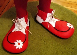 Normal_clown_circus_schoenen