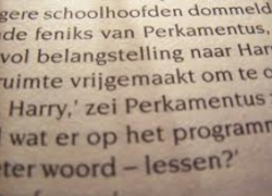 inspectie onderwijs dyslexie dyscalculie school