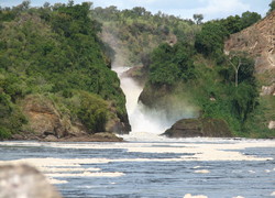 Normal_murchison_falls_-_by_sarahemcc