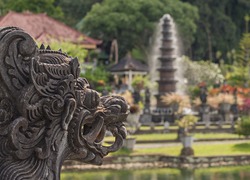 Normal_bali-2170900_960_720