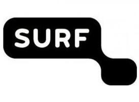 Normal_surf_logo