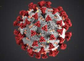 Normal_coronavirus__2_