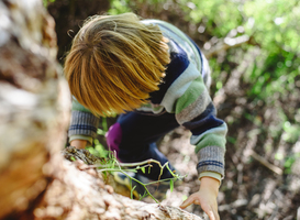 Normal_blond-boy-climbing-a-tree-by-himself-overcoming-a-2022-05-23-23-10-54-utc