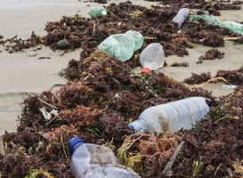 Normal_plastic-bottles-on-the-beach-2021-08-26-16-21-56-utc