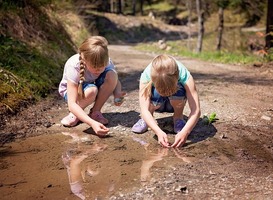 Dit doen scholen tijdens de Week van de Natuur 