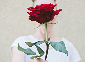 Normal_faceless-portrait-of-woman-holding-red-rose-in-han-2023-11-27-04-52-51-utc