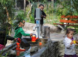 Groen schoolplein heeft effect op pestgedrag leerlingen 