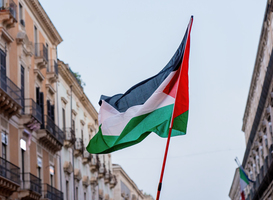 Pro-Palestijnse demonstranten voeren actie bij pand Universiteit Utrecht 