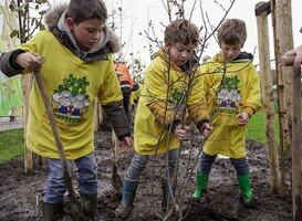 Kinderen verhogen biodiversiteit tijdens Boomfeestdag 