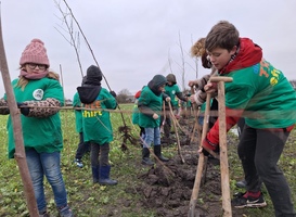 Leerlingen planten windhaag tijdens allereerste BoerenBoomfeestdag 