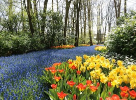 Student voor een dag directeur van de Keukenhof 