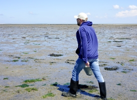 Jonge onderzoekers mogen de komende vier jaar het Wad op