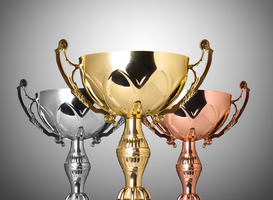 Normal_trophies-2024-12-02-11-08-22-utc